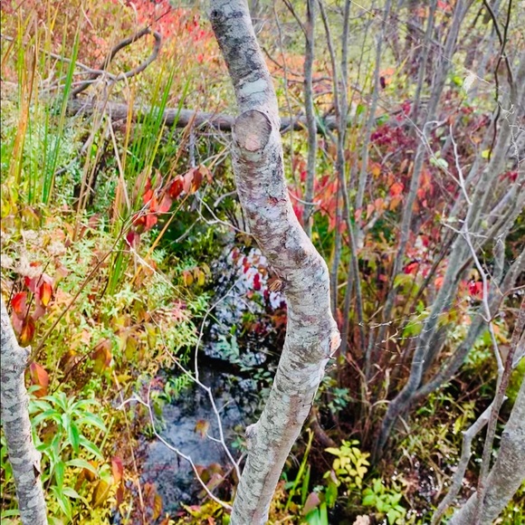 Meet your Posher, Julia - Picture 2 of 3